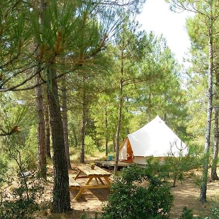 Forest Days Navés Kültér fotó