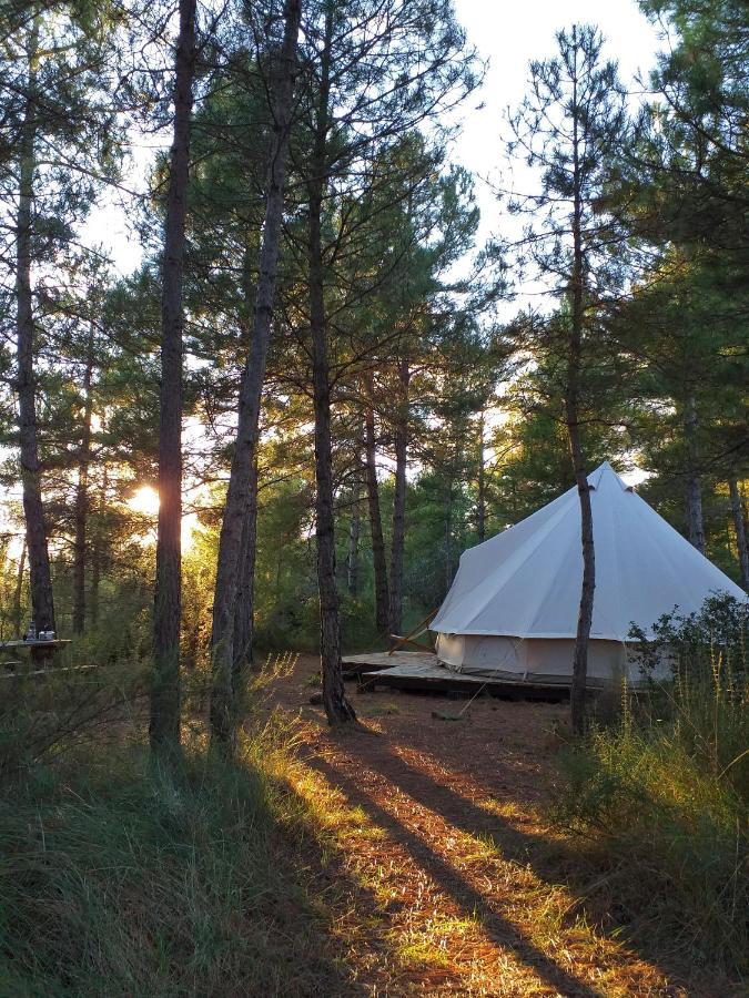 Forest Days Navés Kültér fotó