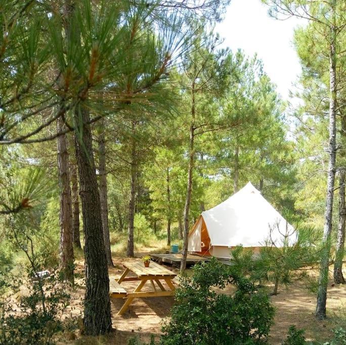 Forest Days Navés Kültér fotó