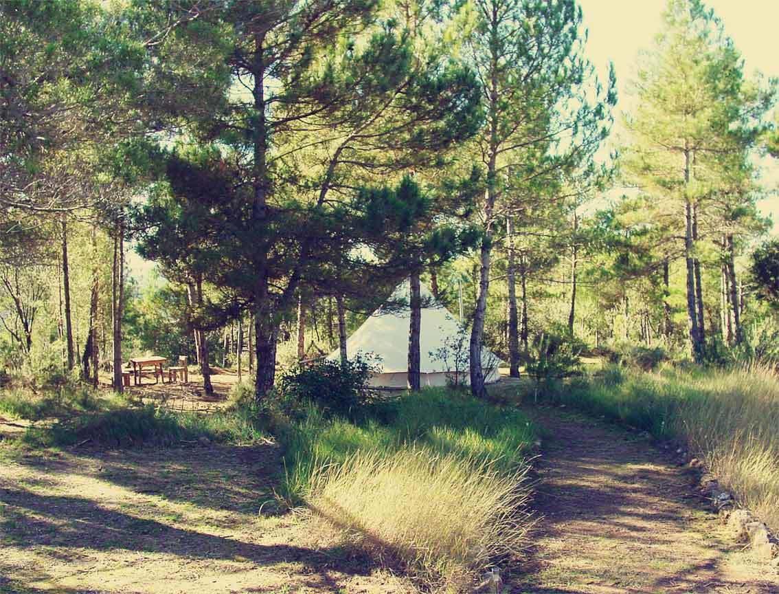 Forest Days Navés Kültér fotó